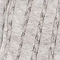 alt-tag