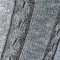 alt-tag