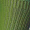 alt-tag